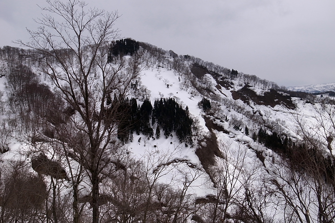 Search for Hillback 2012