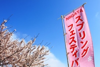 ＮＩＩＧＡＴＡ　ＳＰＲＩＮＧ　ＦＥＳＴＩＶＡＬ