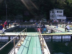 1年ぶりの釣堀