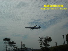 城南島海浜公園でデイキャンプ 2020/03/05 08:14:45