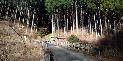 奥多摩、川乗林道ライド