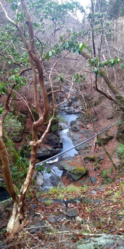 奥多摩、川乗林道ライド