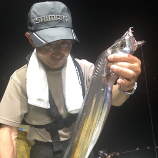 8/28夜便タチウオ