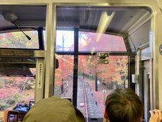 京都旅ラン2024⭐︎秋　鞍馬寺から博物館まで