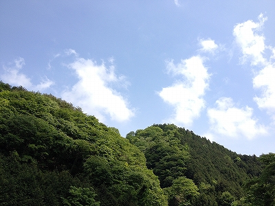 西丹沢中川ロッヂ [2014/5/24〜25 レポ編]