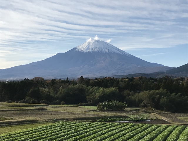 林間のキャンプ場で [2021/11/12～13]