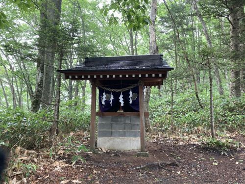 20.08.09 夏休み集中登山～北信五岳を巡る山歩き～　Day 1　飯縄山に登ったら思いのほか花に癒されたよ