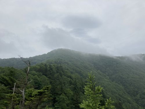 20.08.09 夏休み集中登山～北信五岳を巡る山歩き～　Day 1　飯縄山に登ったら思いのほか花に癒されたよ