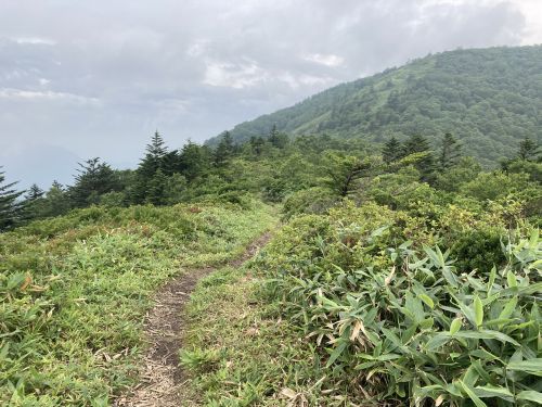 20.08.09 夏休み集中登山～北信五岳を巡る山歩き～　Day 1　飯縄山に登ったら思いのほか花に癒されたよ