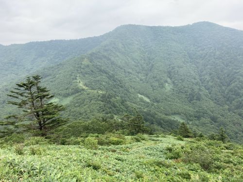 20.08.09 夏休み集中登山～北信五岳を巡る山歩き～　Day 1　飯縄山に登ったら思いのほか花に癒されたよ