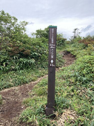 20.08.09 夏休み集中登山～北信五岳を巡る山歩き～　Day 1　飯縄山に登ったら思いのほか花に癒されたよ