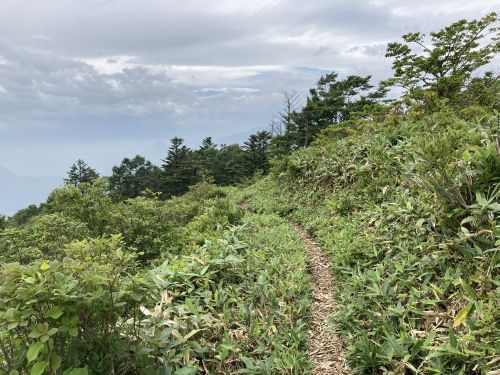 20.08.09 夏休み集中登山～北信五岳を巡る山歩き～　Day 1　飯縄山に登ったら思いのほか花に癒されたよ