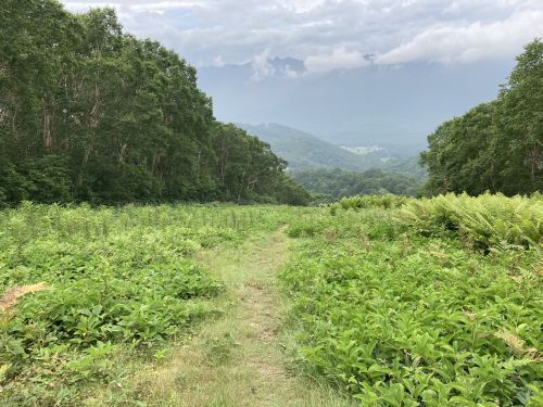 20.08.09 夏休み集中登山～北信五岳を巡る山歩き～　Day 1　飯縄山に登ったら思いのほか花に癒されたよ