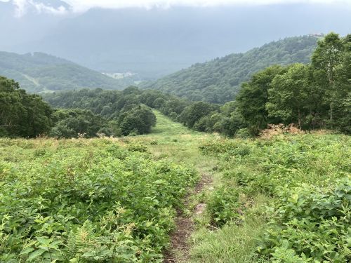 20.08.09 夏休み集中登山～北信五岳を巡る山歩き～　Day 1　飯縄山に登ったら思いのほか花に癒されたよ