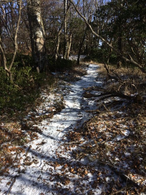 17.12.16 静かなる初冬の大室山、加入道山をストイックに登る