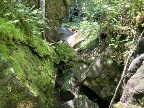 20.08.10 夏休み集中登山～北信五岳を巡る山歩き～　Day 2　駐車場が満車で仕方なく黒姫山に登ったら灼熱だった