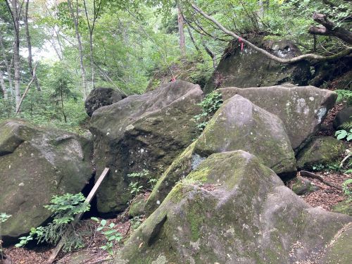 20.08.10 夏休み集中登山～北信五岳を巡る山歩き～　Day 2　駐車場が満車で仕方なく黒姫山に登ったら灼熱だった