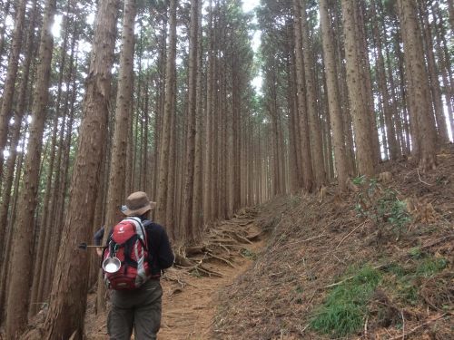 20.03.07　日の出山－御嶽山縦走　山中の人工物にときめく山歩き