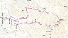 20.08.09 夏休み集中登山～北信五岳を巡る山歩き～　Day 1　飯縄山に登ったら思いのほか花に癒されたよ