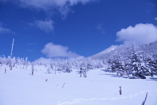 残雪の北八ヶ岳は最高でした 2022/03/29 18:18:51