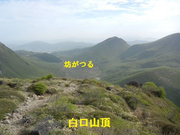 くじゅう連山（白口岳→稲星山）リアルレポ登山編