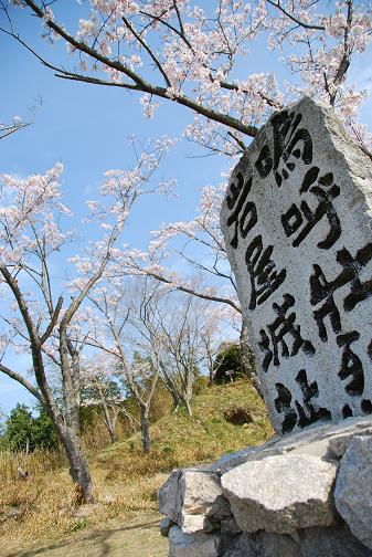 日本の美学「義」と「桜」