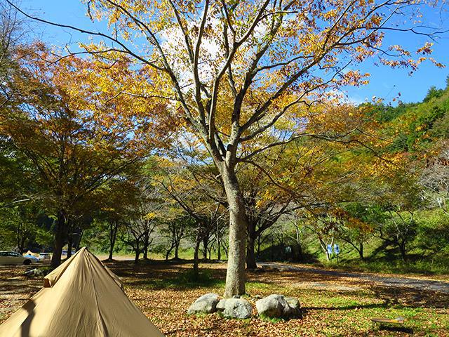 秋風キャンプ