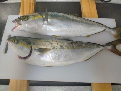 釣魚と黒枝豆