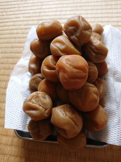 今年も梅干し できました。
