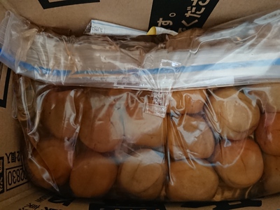今年も梅干し できました。