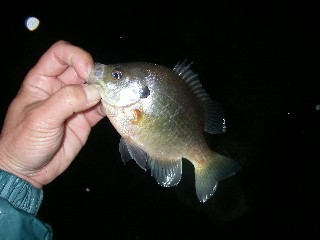 全然気づきませんでした（アハハハorz