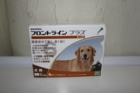 予防 2012/04/11 21:50:24