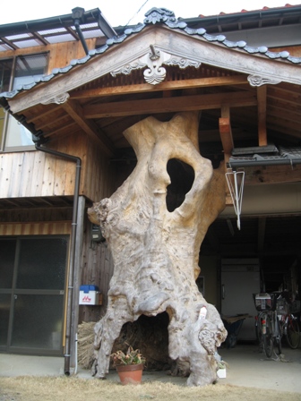 気になる木