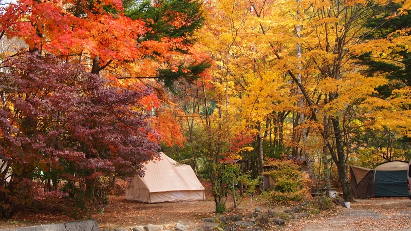 紅葉真っ赤っかキャンプ　笛吹小屋キャンプ場