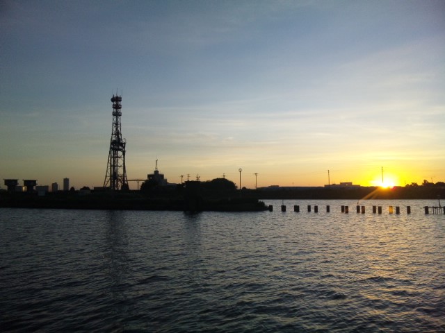 旧江戸川  ７月１８日