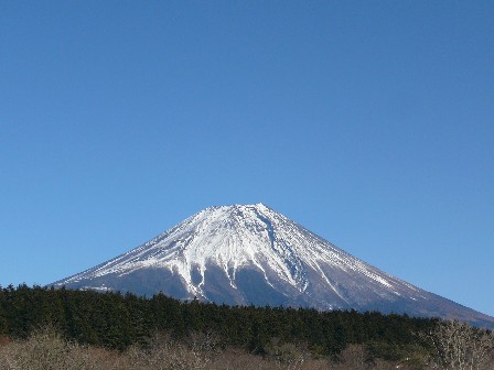 冬の朝霧へ！