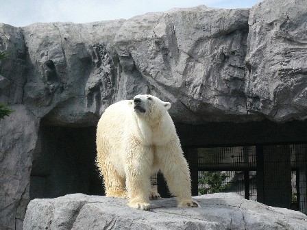 2010 夏の北海道遠征！（8日目）