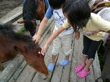 2010 夏の北海道遠征！（14日目）