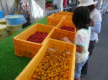 2010 夏の北海道遠征！（19日目）