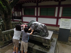 2011 夏の九州遠征（3日目）