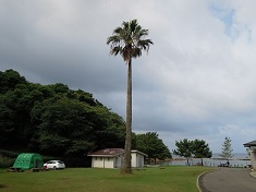 2011 夏の九州遠征（8日目）