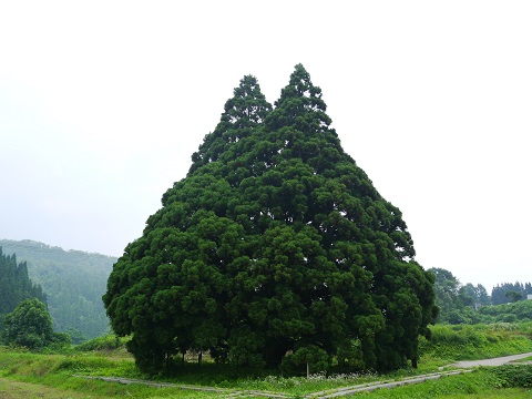 2013 夏の東北遠征（1日目）