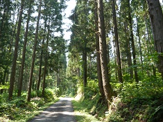 2013 夏の東北遠征（6日目）