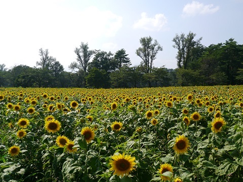 2013 夏の東北遠征（6日目）