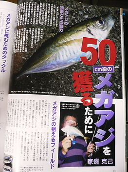 アジングナビ