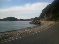 紀伊水道のガシラ　２