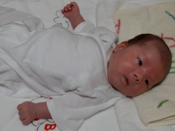 第１子誕生膝栗毛