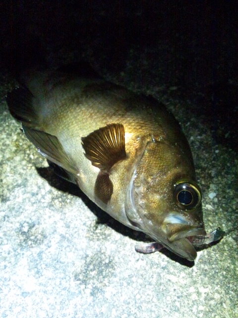 2013夏休み（2）