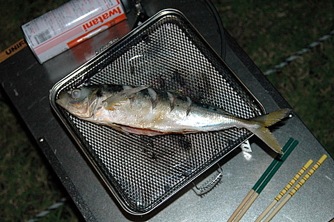 船折瀬戸キャンプ場（愛媛県）