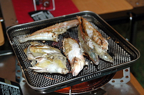 船折瀬戸キャンプ場（愛媛県）